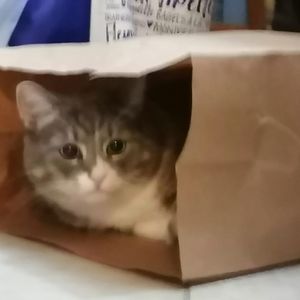 Meet your Posher, Vanessa